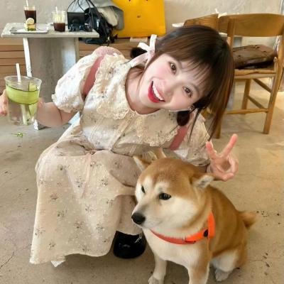 森林进化论第三季